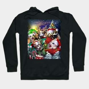 Cat Carollers Hoodie